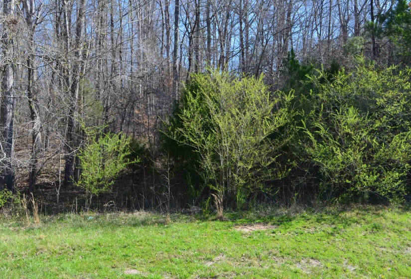 0 412 HWY, Lexington, Tennessee 38351, ,Land,For Sale,412,10197048