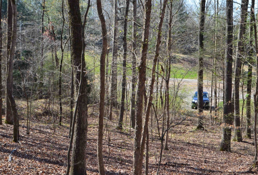 0 412 HWY, Lexington, Tennessee 38351, ,Land,For Sale,412,10197048