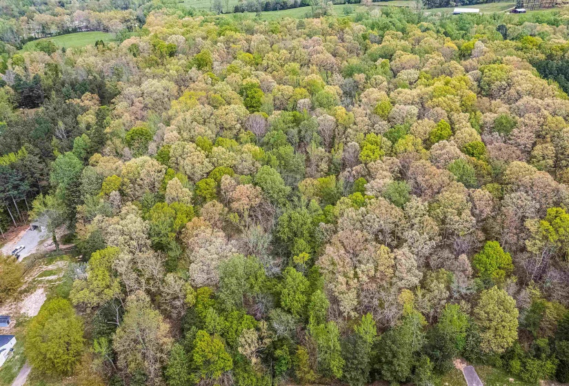 0 412 HWY, Lexington, Tennessee 38351, ,Land,For Sale,412,10197048