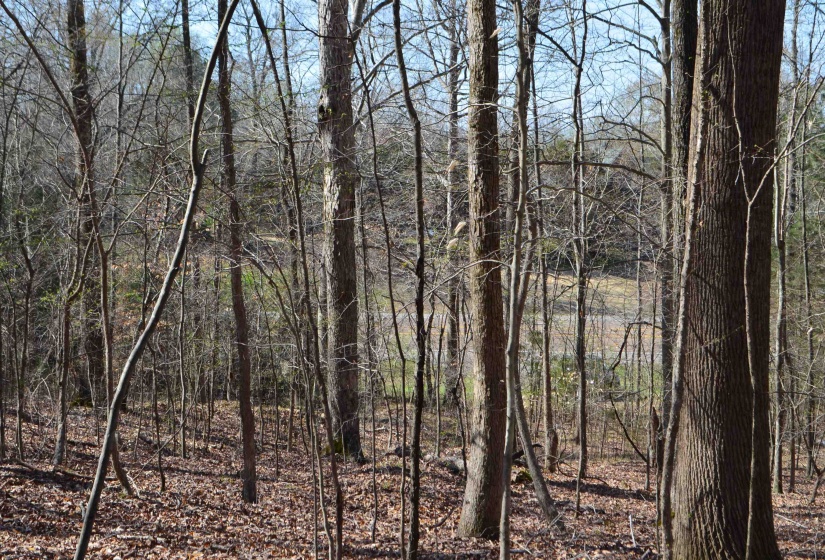 0 412 HWY, Lexington, Tennessee 38351, ,Land,For Sale,412,10197048