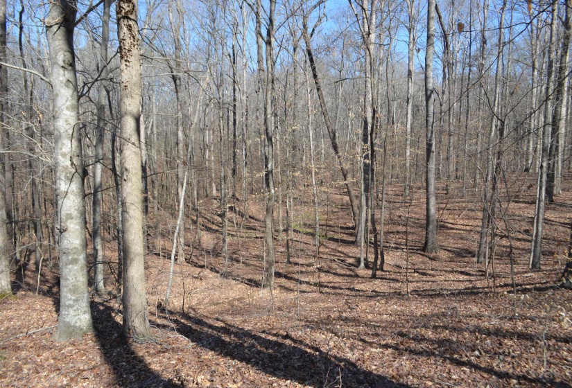 0 412 HWY, Lexington, Tennessee 38351, ,Land,For Sale,412,10197048