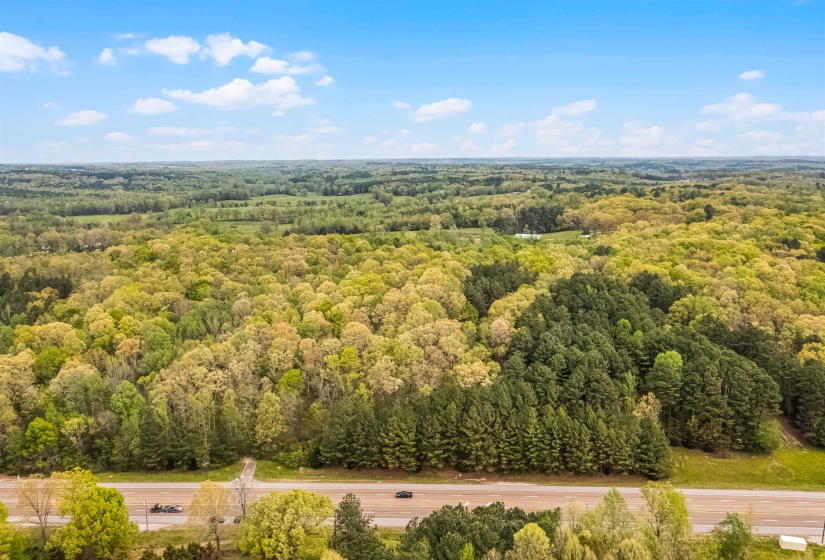 0 412 HWY, Lexington, Tennessee 38351, ,Land,For Sale,412,10197048