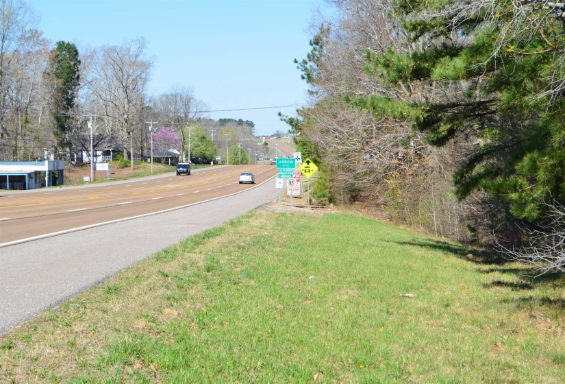 0 412 HWY, Lexington, Tennessee 38351, ,Land,For Sale,412,10197048