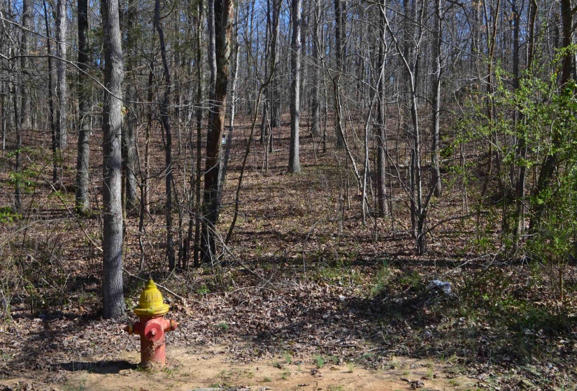 0 412 HWY, Lexington, Tennessee 38351, ,Land,For Sale,412,10197048