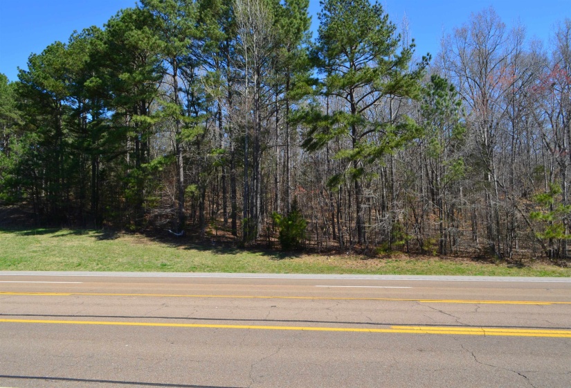 0 412 HWY, Lexington, Tennessee 38351, ,Land,For Sale,412,10197048