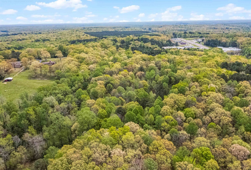 0 412 HWY, Lexington, Tennessee 38351, ,Land,For Sale,412,10197048