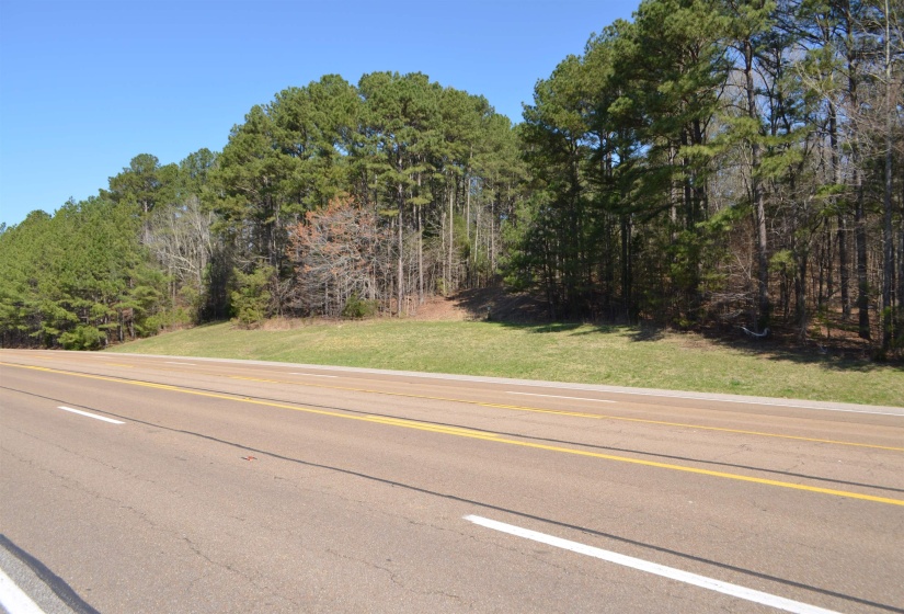 0 412 HWY, Lexington, Tennessee 38351, ,Land,For Sale,412,10197048