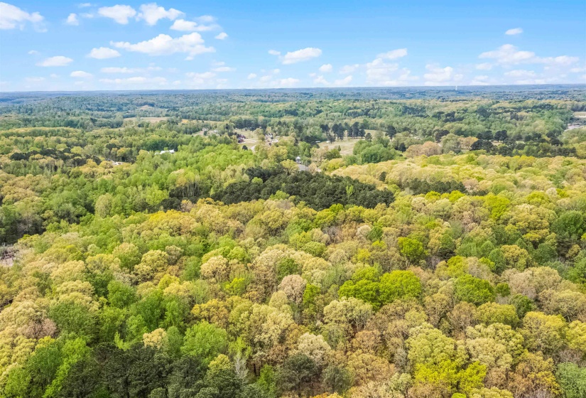 0 412 HWY, Lexington, Tennessee 38351, ,Land,For Sale,412,10197048