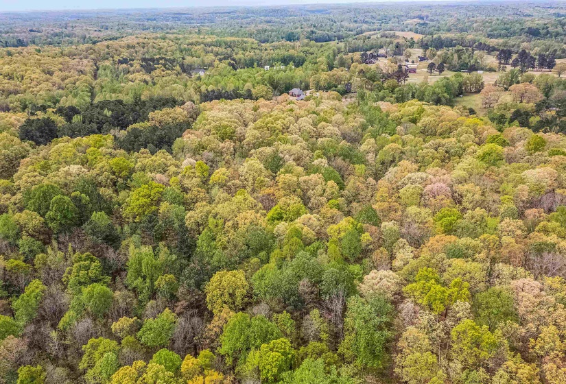 0 412 HWY, Lexington, Tennessee 38351, ,Land,For Sale,412,10197048