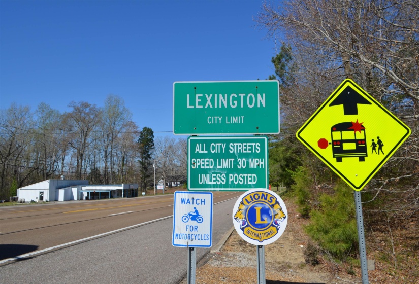 0 412 HWY, Lexington, Tennessee 38351, ,Land,For Sale,412,10197048