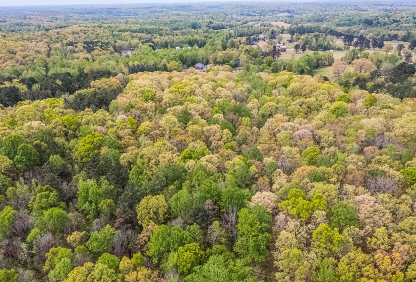 0 412 HWY, Lexington, Tennessee 38351, ,Land,For Sale,412,10197048