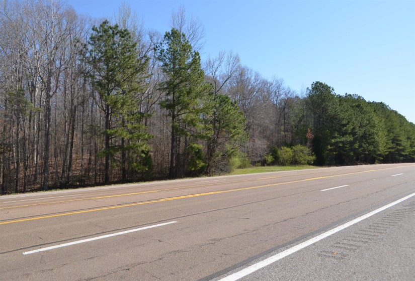 0 412 HWY, Lexington, Tennessee 38351, ,Land,For Sale,412,10197048