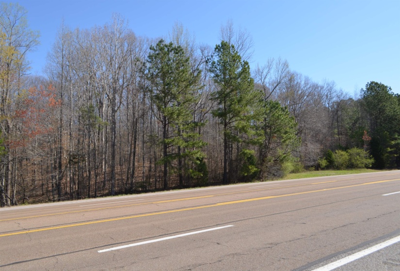 0 412 HWY, Lexington, Tennessee 38351, ,Land,For Sale,412,10197048