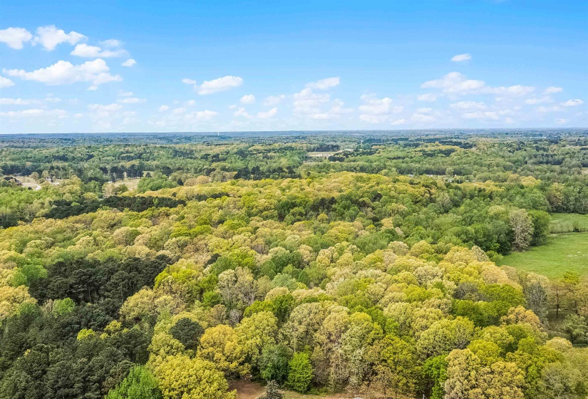 0 412 HWY, Lexington, Tennessee 38351, ,Land,For Sale,412,10197048