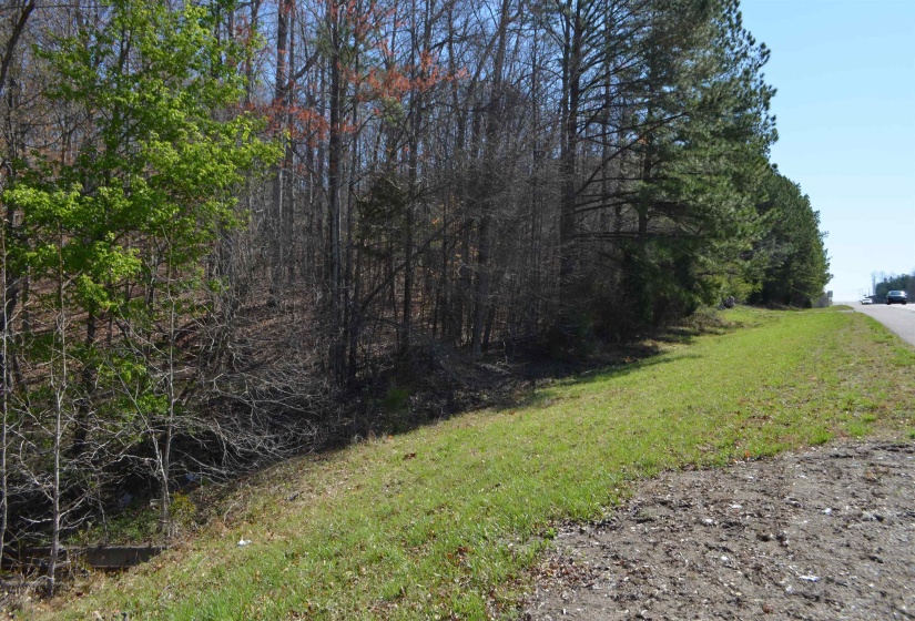 0 412 HWY, Lexington, Tennessee 38351, ,Land,For Sale,412,10197048