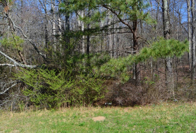 0 412 HWY, Lexington, Tennessee 38351, ,Land,For Sale,412,10197048