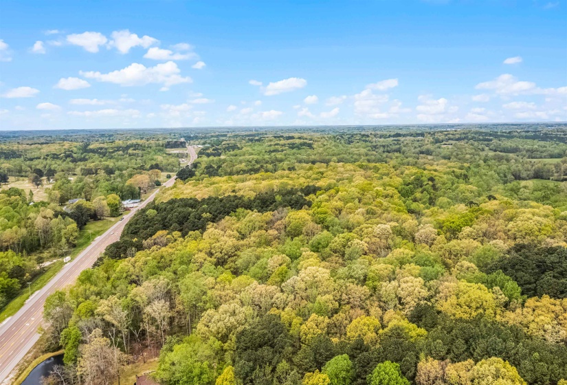 0 412 HWY, Lexington, Tennessee 38351, ,Land,For Sale,412,10197048