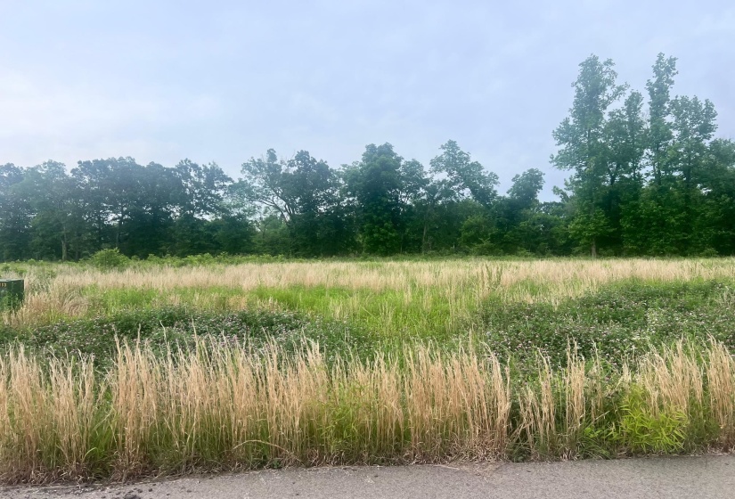LOT # 113 LAUNCH RAMP CV, Savannah, Tennessee 38372, ,Land,For Sale,LAUNCH RAMP,10197063