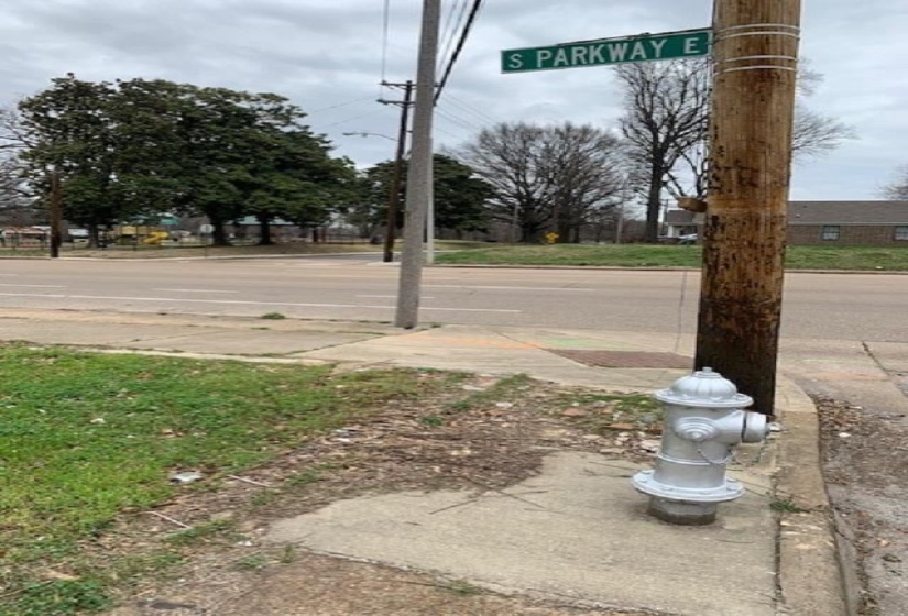651 PARKWAY ST, Memphis, Tennessee 38106, ,Land,For Sale,PARKWAY,10176434