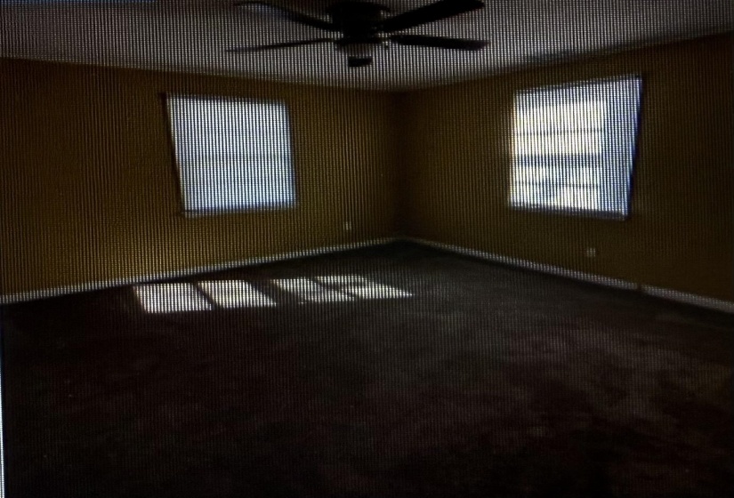 Unfurnished room featuring a ceiling fan and carpet