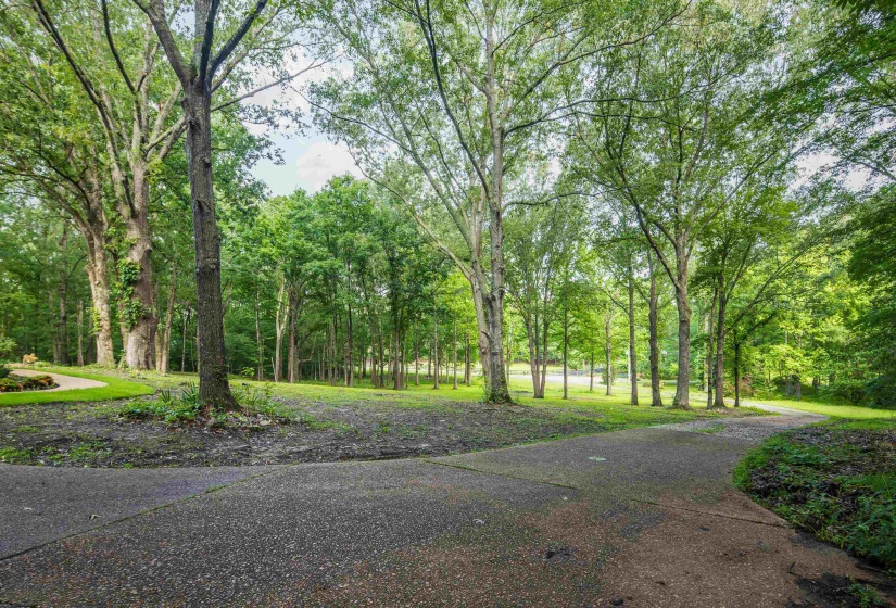 95 HANCOCK CV, Eads, Tennessee 38028, 3 Bedrooms Bedrooms, 10 Rooms Rooms,3.1 BathroomsBathrooms,Residential,For Sale,HANCOCK,10197325