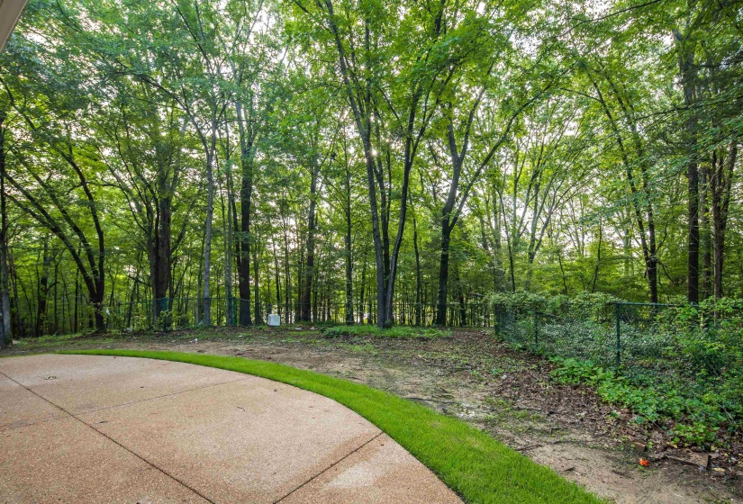 95 HANCOCK CV, Eads, Tennessee 38028, 3 Bedrooms Bedrooms, 10 Rooms Rooms,3.1 BathroomsBathrooms,Residential,For Sale,HANCOCK,10197325