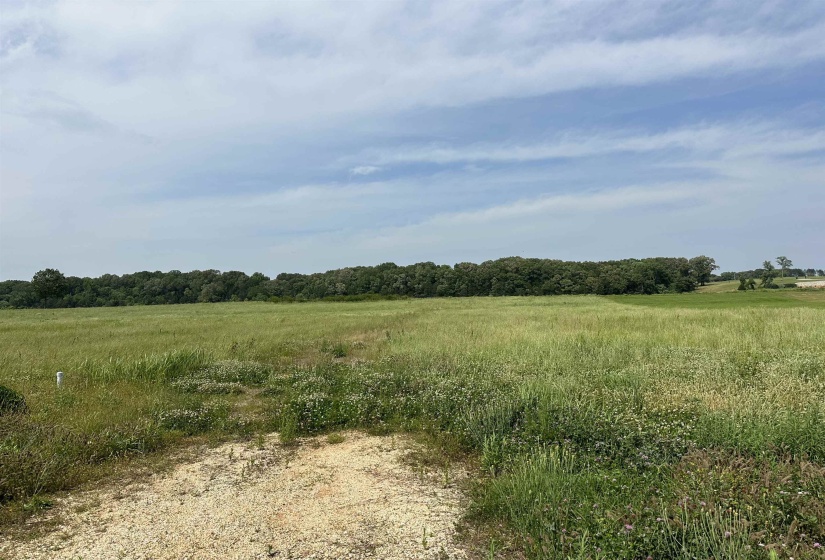 View of local wilderness featuring rural landscape