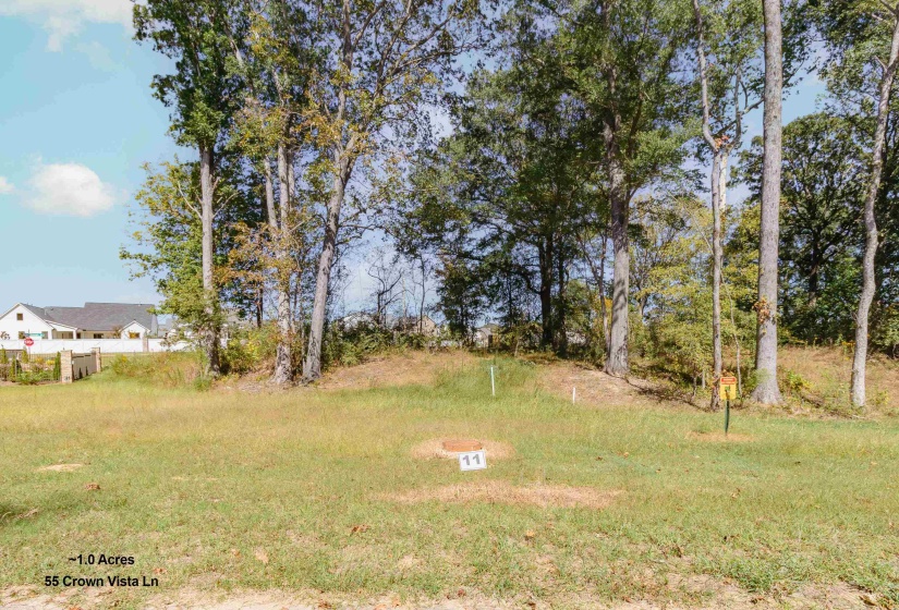 55 CROWN VISTA LN, Piperton, Tennessee 38017, ,Land,For Sale,CROWN VISTA,10134863