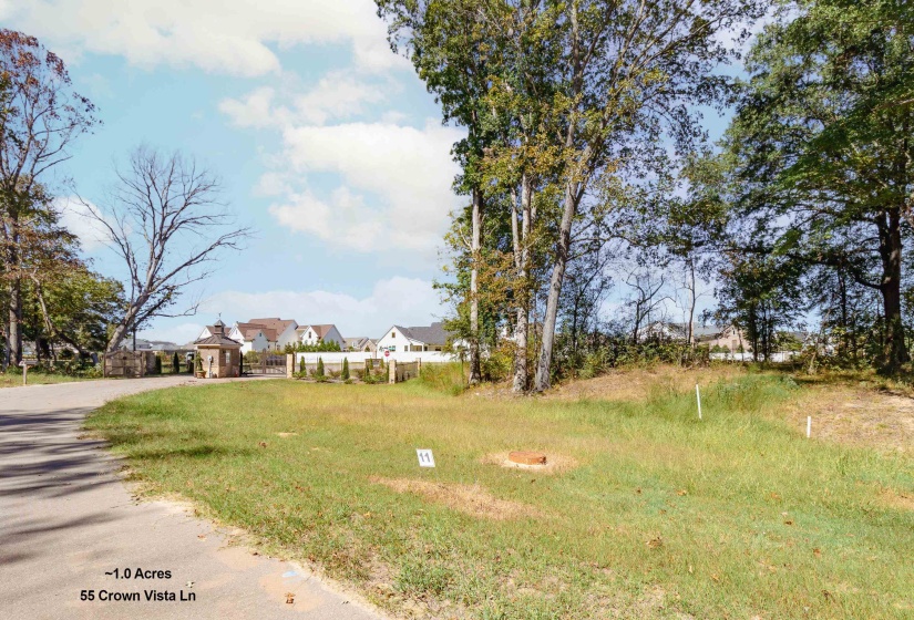 55 CROWN VISTA LN, Piperton, Tennessee 38017, ,Land,For Sale,CROWN VISTA,10134863