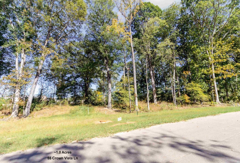 55 CROWN VISTA LN, Piperton, Tennessee 38017, ,Land,For Sale,CROWN VISTA,10134863