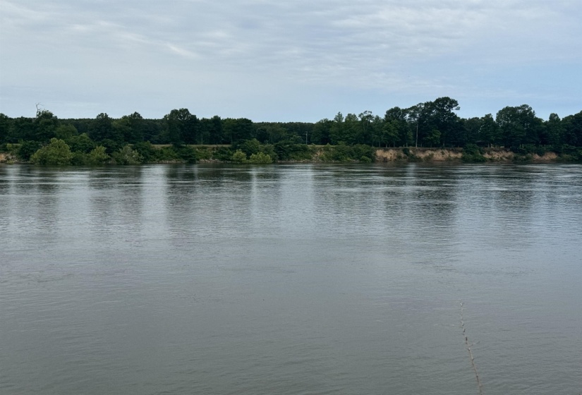 Water view with a heavily wooded area
