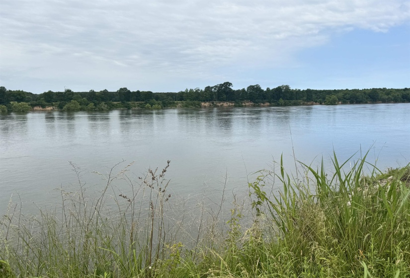 Water view featuring a forest