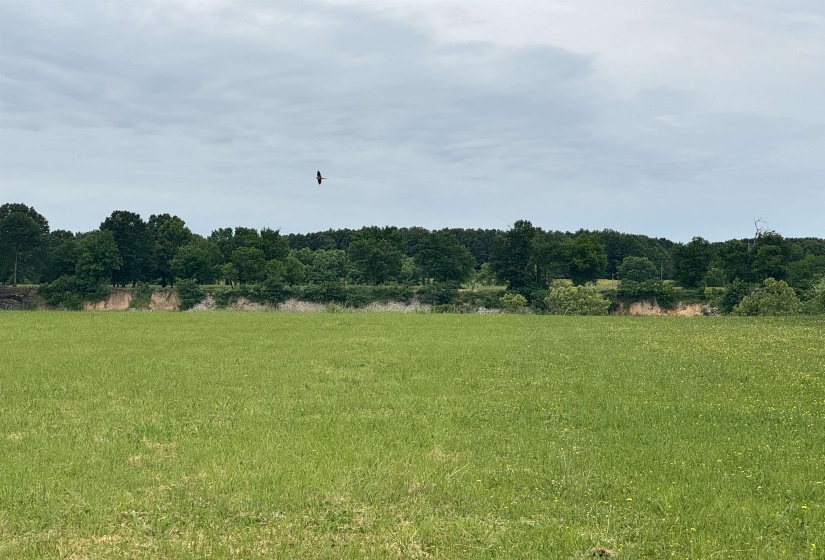 View of nature featuring rural landscape