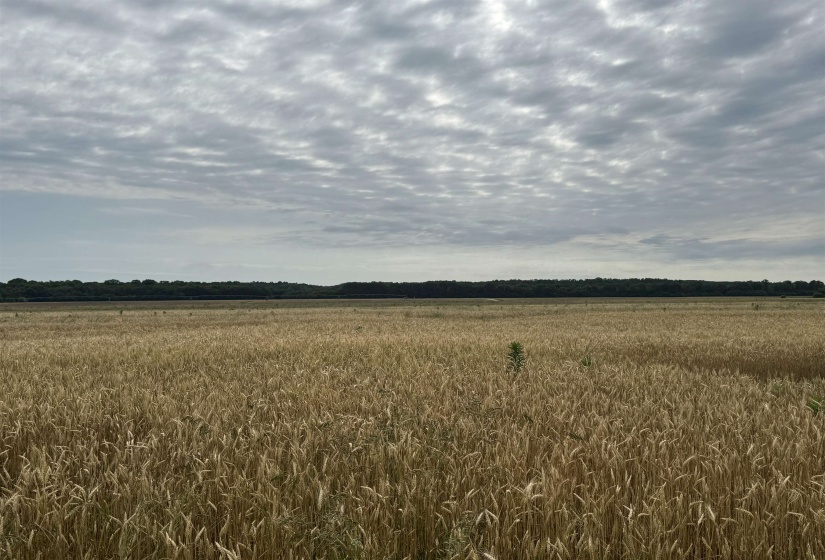 View of nature with rural landscape
