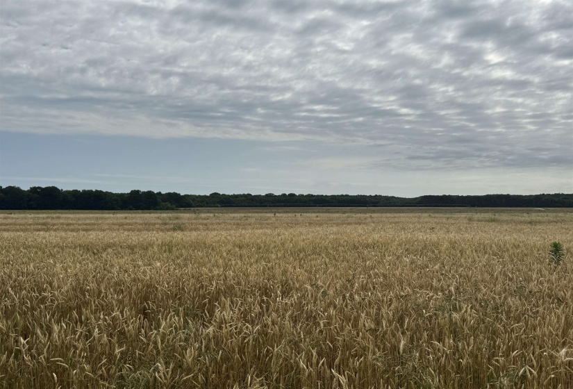 View of nature featuring rural landscape