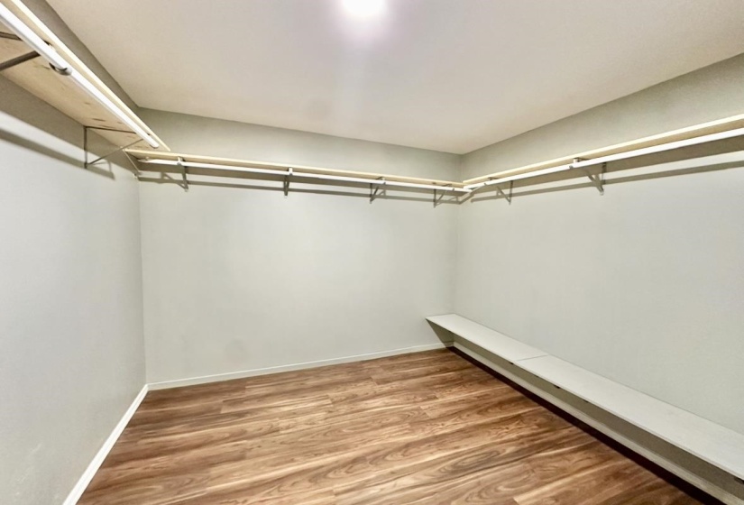 Spacious closet with wood finished floors