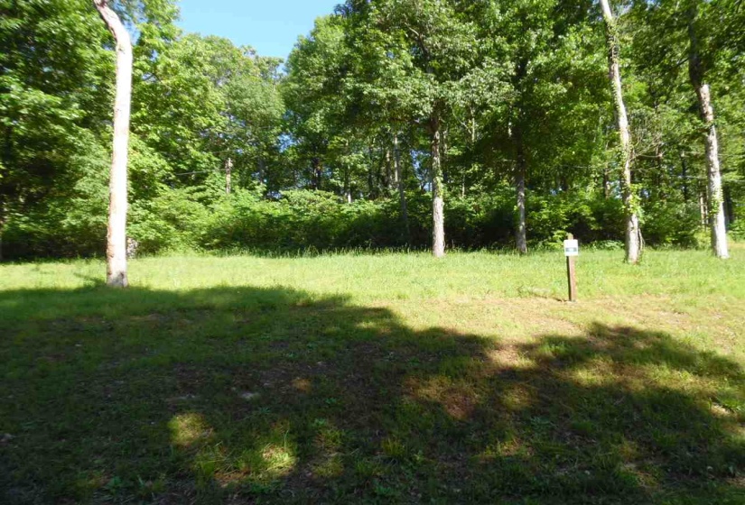 0 ADAM LOOP, Bath Springs, Tennessee 38311, ,Land,For Sale,ADAM,10197622