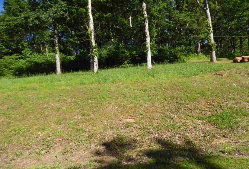 0 ADAM LOOP, Bath Springs, Tennessee 38311, ,Land,For Sale,ADAM,10197622