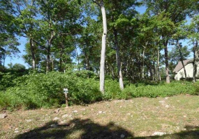 0 ADAM LOOP, Bath Springs, Tennessee 38311, ,Land,For Sale,ADAM,10197622
