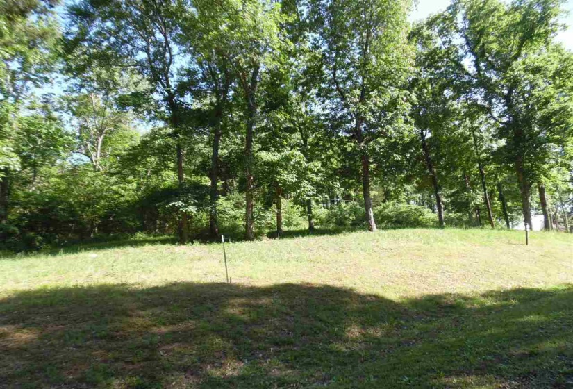 0 ADAM LOOP, Bath Springs, Tennessee 38311, ,Land,For Sale,ADAM,10197622