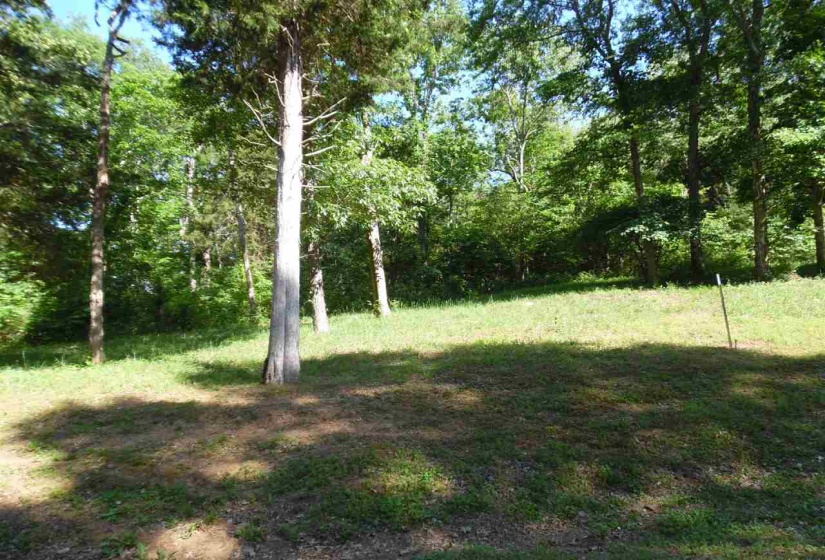 0 ADAM LOOP, Bath Springs, Tennessee 38311, ,Land,For Sale,ADAM,10197622