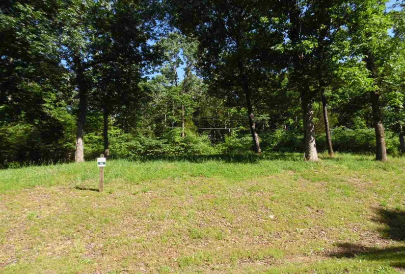 0 ADAM LOOP, Bath Springs, Tennessee 38311, ,Land,For Sale,ADAM,10197622