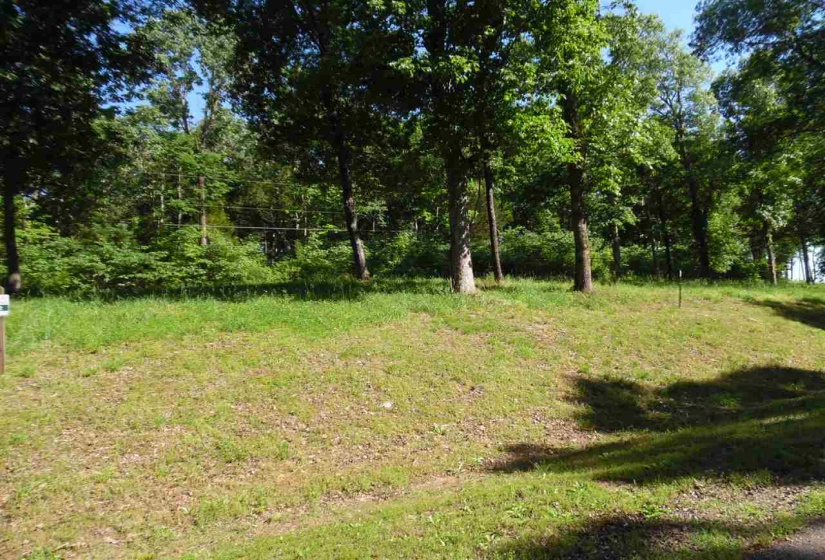 0 ADAM LOOP, Bath Springs, Tennessee 38311, ,Land,For Sale,ADAM,10197622