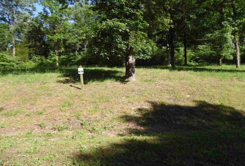 0 ADAM LOOP, Bath Springs, Tennessee 38311, ,Land,For Sale,ADAM,10197622