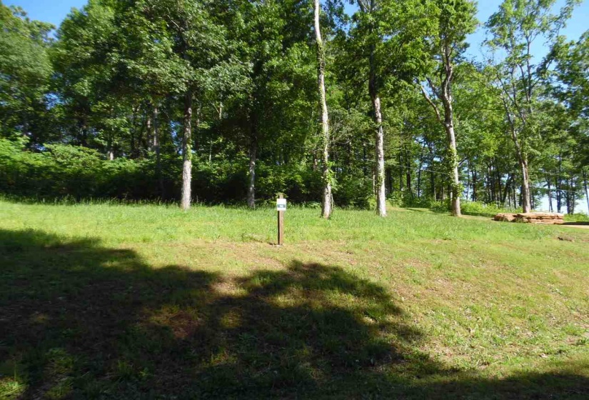 0 ADAM LOOP, Bath Springs, Tennessee 38311, ,Land,For Sale,ADAM,10197622