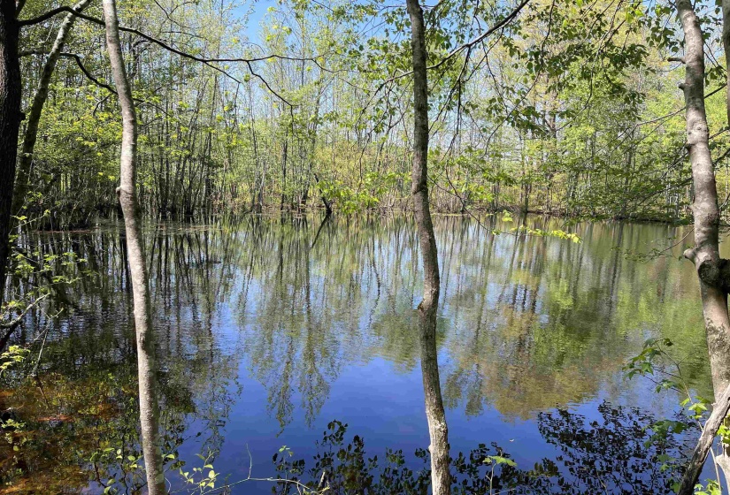 1 WOODS RD, Adamsville, Tennessee 38310, ,Land,For Sale,WOODS,10197691