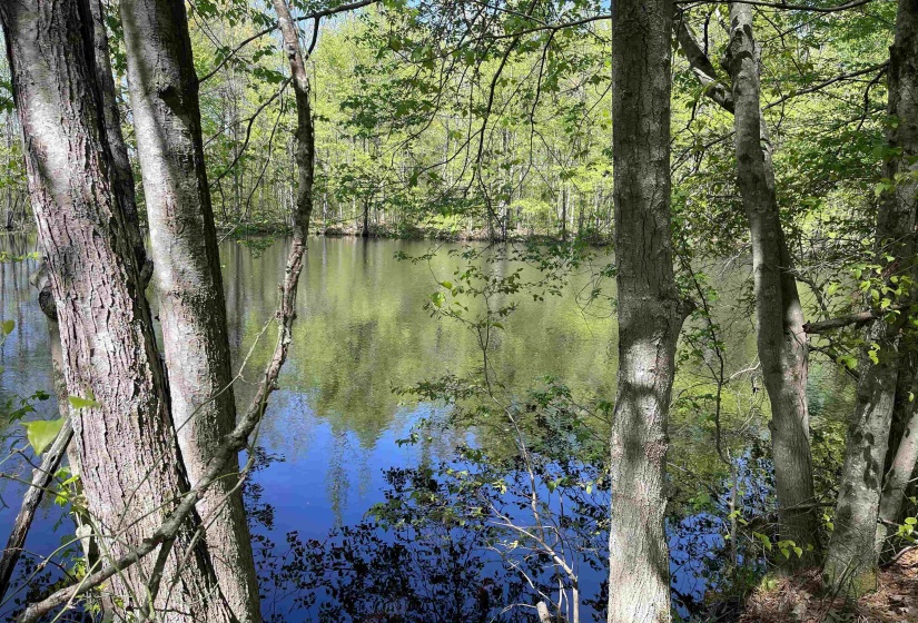 1 WOODS RD, Adamsville, Tennessee 38310, ,Land,For Sale,WOODS,10197691