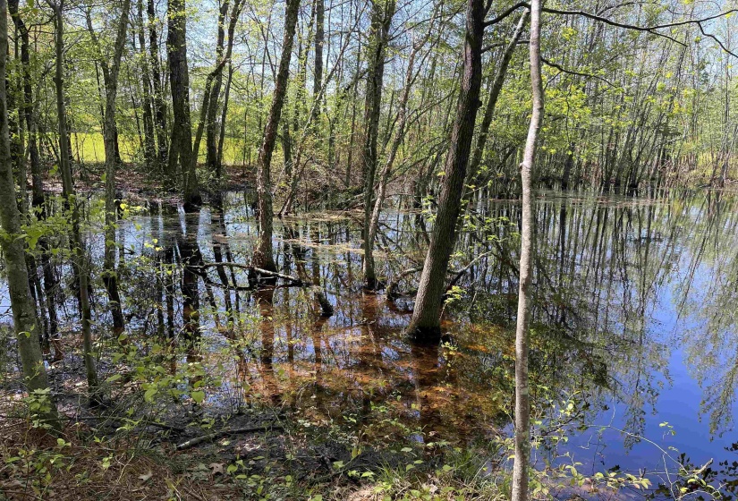 1 WOODS RD, Adamsville, Tennessee 38310, ,Land,For Sale,WOODS,10197691