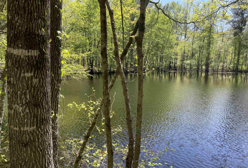 1 WOODS RD, Adamsville, Tennessee 38310, ,Land,For Sale,WOODS,10197691