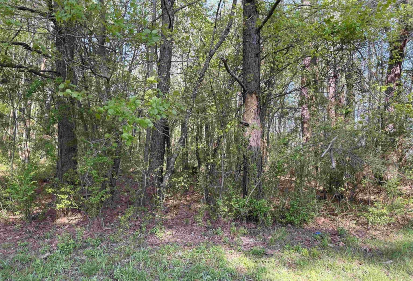 1 WOODS RD, Adamsville, Tennessee 38310, ,Land,For Sale,WOODS,10197691